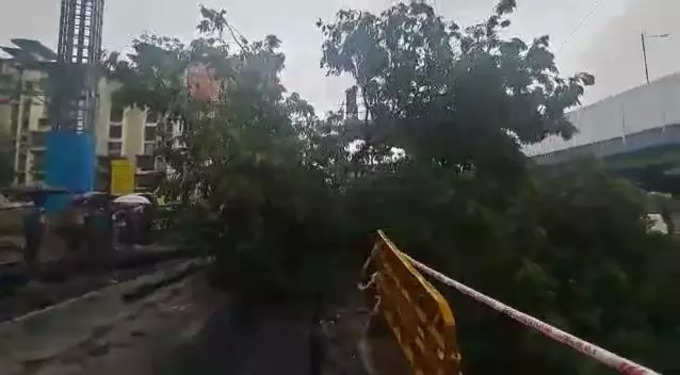 मुख्यमंत्री एकनाथ शिंदेंच्या घराबाहेर मोठा वृक्ष उन्मळून पडला, मोठी दुर्घटना टळली