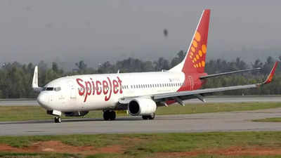 SpiceJet Lands In Karachi: ತೈಲ ಸೋರಿಕೆ ಶಂಕೆ: ದುಬೈಗೆ ಹೊರಟಿದ್ದ ಸ್ಪೈಸ್ ಜೆಟ್ ವಿಮಾನ ಕರಾಚಿಯಲ್ಲಿ ಲ್ಯಾಂಡಿಂಗ್