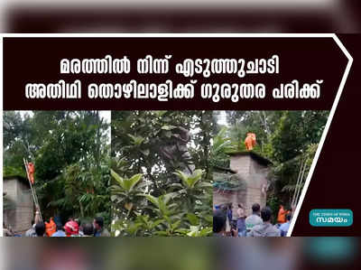 മരത്തിൽ നിന്ന് എടുത്തുചാടി അതിഥി തൊഴിലാളിക്ക് ഗുരുതര പരിക്ക്