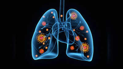 lungs health: நுரையீரலை பலப்படுத்தும் 8 உணவுகள் என்னென்ன...