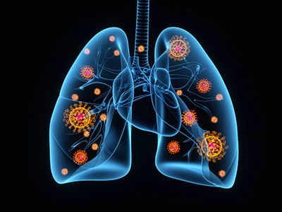 lungs health: நுரையீரலை பலப்படுத்தும் 8 உணவுகள் என்னென்ன...