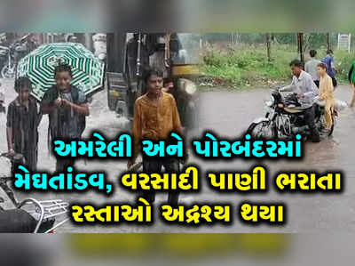 સૌરાષ્ટ્રમાં મેઘમહેર: અમરેલી-પોરબંદર-જામનગર સહિતના જિલ્લાઓમાં ધોધમાર વરસાદ 