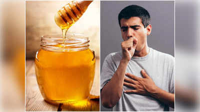 Benefits of Eating Honey: কাশি কমে, বাড়ে ইমিউনিটি! শুধু দিনে এক চামচ মধু খান…