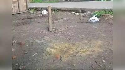 Bhatpara Incident: খাটাল লক্ষ্য করে ভোররাতে বোমাবাজির অভিযোগ ভাটপাড়ায়, জখম গোরু