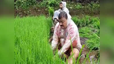 Bhaskar Jadhav: शिंदे गटाची कापणी करणाऱ्या भास्कर जाधवांची शेतात लावणी