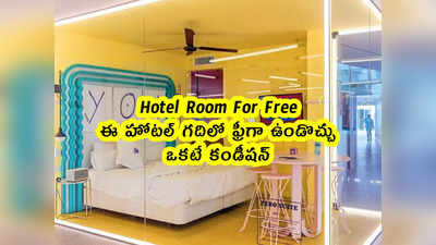 Hotel Room For Free: ఈ హోటల్ గదిలో ఫ్రీగా ఉండొచ్చు.. ఒకటే కండీషన్ 