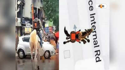 Swiggy Delivery on Horse: অশ্বারোহী ডেলিভারি বয়! সন্ধান দিলেই ইনাম সুইগির