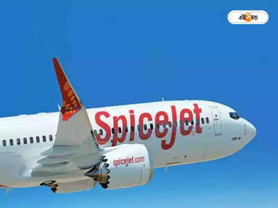 Spicejet: ভরসা হারিয়ে কেন্দ্রের শো-কজ স্পাইসজেটকে