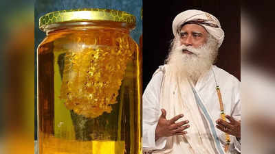 Honey side effects: सद्गुरु ने बताया किस तरह खाने पर शहद बन सकता है जहरीला, जानें सबसे सही तरीका