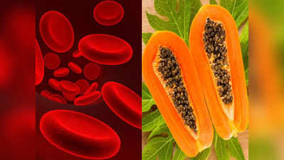 How to increase platelets: धीरे-धीरे बढ़ रहा डेंगू का कहर, खून में प्लेटलेट्स बढ़ाने के लिए अभी से खाना शुरू करें ये 5 चीजें