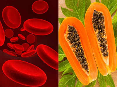 How to increase platelets: धीरे-धीरे बढ़ रहा डेंगू का कहर, खून में प्लेटलेट्स बढ़ाने के लिए अभी से खाना शुरू करें ये 5 चीजें