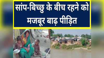 Flood in Dhrabhaga: कई शाम भूखे रह जाते हैं, सांप और गोह का डर रहता है, बाढ़ पीड़ितों का दर्द