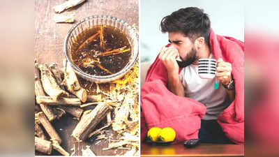 Drinks for Monsoon: इंफेक्शन और बीमारियों से बचाएंगे Ayurveda के ये 3 ड्रिंक, एक्सपर्ट से जानिए कैसे किया जाता है तैयार