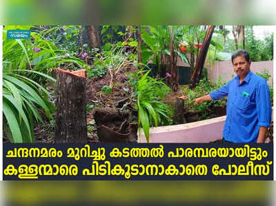 ചന്ദനമരം മുറിച്ചു കടത്തൽ പാരമ്പരയായിട്ടും കള്ളന്മാരെ പിടികൂടാനാകാതെ പോലീസ്