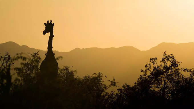 దక్షిణాఫ్రికా (South Africa)