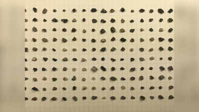 Viral Picture: 1 ವರ್ಷದಲ್ಲಿ 179 ಸಣ್ಣ ಕಲ್ಲುಗಳು, 32 ಗಾಜಿನ ತುಂಡುಗಳನ್ನು ಸಂಗ್ರಹಿಸಿದ ವ್ಯಕ್ತಿ: ಕಾರಣ ತುಂಬಾ ವಿಶೇಷ