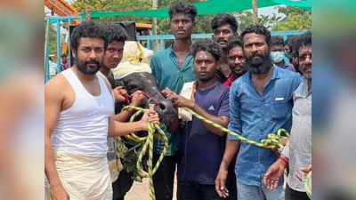 Suriya: ரசிகர்களுக்கு காத்திருக்கும் செம்ம ட்ரீட்: வாடிவாசல் படத்தின் மரண மாஸ் அப்டேட்.!