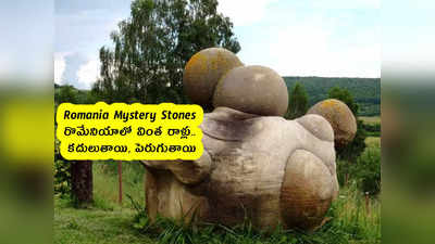 Romania Mystery Stones : రొమేనియాలో వింత రాళ్లు.. కదులుతాయి, పెరుగుతాయి