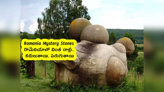 Romania Mystery Stones : రొమేనియాలో వింత రాళ్లు.. కదులుతాయి, పెరుగుతాయి