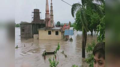 हिंगोलीत अतिवृष्टीचा तडाखा; तब्बल १०० जनावरं गेली वाहून, ८ गावांचं नुकसान