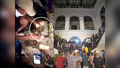 श्रीलंका दिवाळखोरीच्या उंबरठ्यावर, पण नागरिकांना राष्ट्रपती भवनात सापडलं कोट्यवधीचं घबाड