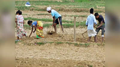 Bihar Weather Update : 30 फीसदी कम बारिश से किसान परेशान, आखिर बिहार में क्यों बिगड़ा मानसून का मिजाज?