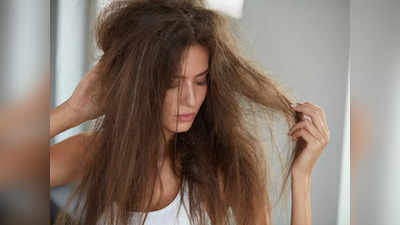 Monsoon Hair Care: বর্ষায় সারাদিন চিটচিটে চুল! সমস্যা মিটবে সহজ উপায়ে, শুনে নিন চিকিৎসকের মুখেই