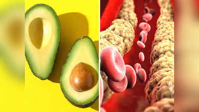 Food for Cholesterol: वैज्ञानिकों का दावा हर दिन ये एक फल खाने से खत्म होंगे खून में जमा LDL कोलेस्ट्रॉल समेत ये 4 रोग