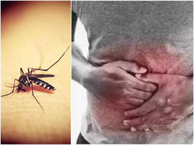 डेंग्यूमध्ये पोटात का दुखतं? यामागचं कारण अतिशय महत्वाचं; दुर्लक्ष कराल तर जिवावर बेतेल