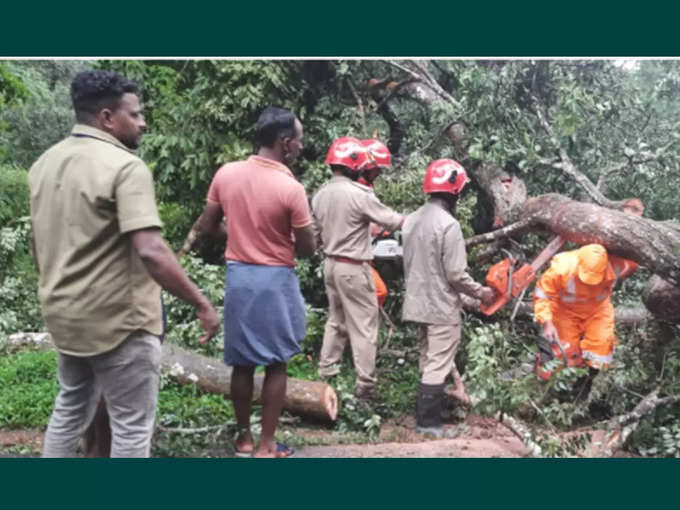 വിദ്യാലയങ്ങൾക്ക് അവധി