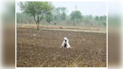 Hamirpur News: मानसून ने धान की बुआई पर खड़ा किया संकट, बारिश न होने से किसानों में छाई मायूसी