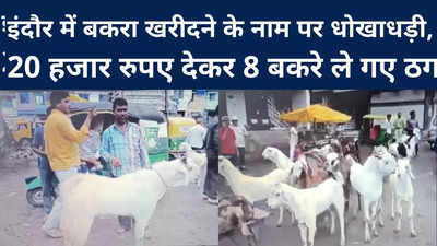 Indore : इंदौर में बकरा खरीदने के नाम पर धोखाधड़ी, 20 हजार देकर 8 बकरे ले गए ठग
