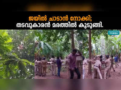 ജയിൽ ചാടാൻ നോക്കി; തടവുകാരൻ മരത്തിൽ കുടുങ്ങി.