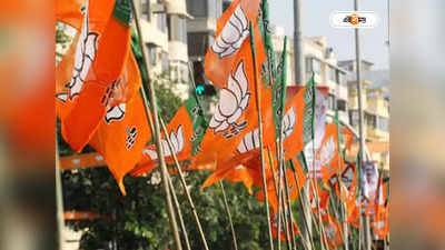 BJP News: পদ্মের পঞ্চায়েত কমিটিতে ৪ পুরনো নেতা বাদ, দ্বন্দ্ব