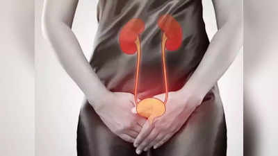 pyelonephritis : உங்க கிட்னி டேஞ்சர் சோன்ல இருக்குன்னு சொல்ற 10 அறிகுறி இதுதான்.. அலட்சியப்படுத்தாதீங்க!