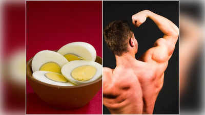 Benefits of Eating Egg: হাড় থেকে পেশির জোর বাড়ায় ডিম। রোজ খেলে মিলবে আরও উপকার...