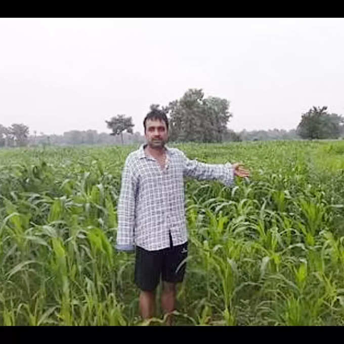 pankaj tripathi in fields