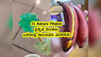 15 Nature Photos : ప్రకృతి వింతలు .. ఒకదాన్ని మించినది మరొకటి 