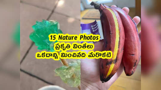 15 Nature Photos : ప్రకృతి వింతలు .. ఒకదాన్ని మించినది మరొకటి 