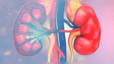 சிறுநீரக செயலிழப்புக்கு காரணமாகும் நீரிழிவும் ரத்த அழுத்தமும்... மூன்றுக்கும் இருக்கும் தொடர்பு இதுதான்...