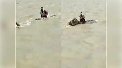 हाथी ने तेज बहाव पानी में तैरकर बचाई महावत की जान, वीडियो देखकर भावुक हो जाओगे