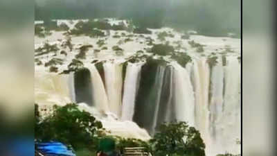 Jog Falls viral video: నయాగరా ని మించిన జోగ్ ఫాల్స్ .. వీడియో వైరల్
