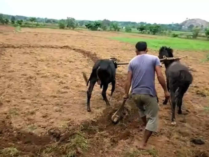 किसान के पास नहीं है खुद की जमीन