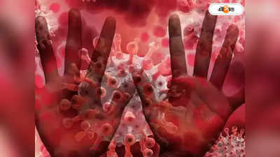 Monkeypox Virus: দেশে মাঙ্কিপক্সের থাবা? রাজ্যগুলিকে চিঠি দিয়ে সতর্ক করল কেন্দ্র