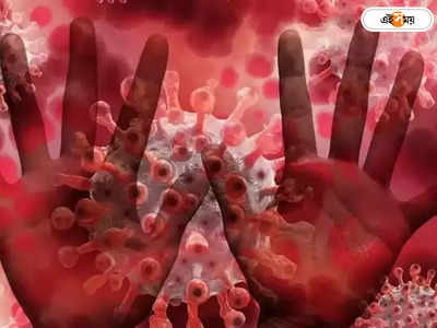 Monkeypox Virus: দেশে মাঙ্কিপক্সের থাবা? রাজ্যগুলিকে চিঠি দিয়ে সতর্ক করল কেন্দ্র