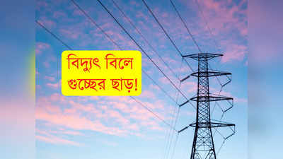 Electric Bill: বিদ্যুৎ বিল জমা করলেই গুচ্ছের ছাড়! কীভাবে পাবেন?