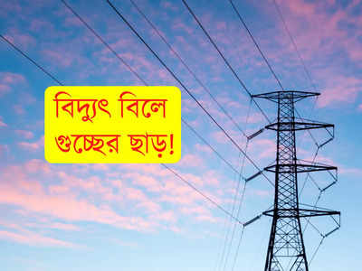 Electric Bill: বিদ্যুৎ বিল জমা করলেই গুচ্ছের ছাড়! কীভাবে পাবেন?