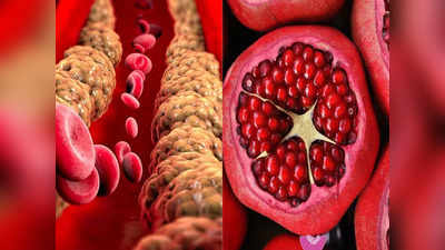Pomegranate benefits: डायबिटीज-कोलेस्ट्रॉल की दवा हैं इस फल के लाल दाने, NIH ने बताए 5 गजब के फायदे