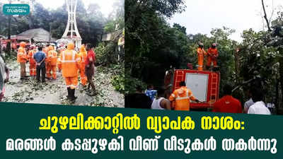 ചുഴലിക്കാറ്റിൽ വ്യാപക നാശം : മരങ്ങൾ കടപ്പുഴകി വീണ് വീടുകൾ തകർന്നു