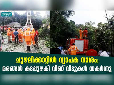 ചുഴലിക്കാറ്റിൽ വ്യാപക നാശം : മരങ്ങൾ കടപ്പുഴകി വീണ് വീടുകൾ തകർന്നു